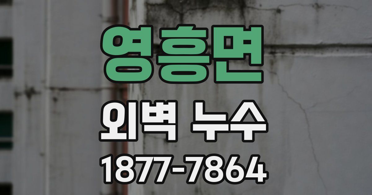 영흥면 외벽 누수