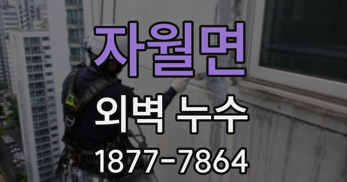 자월면 외벽 누수