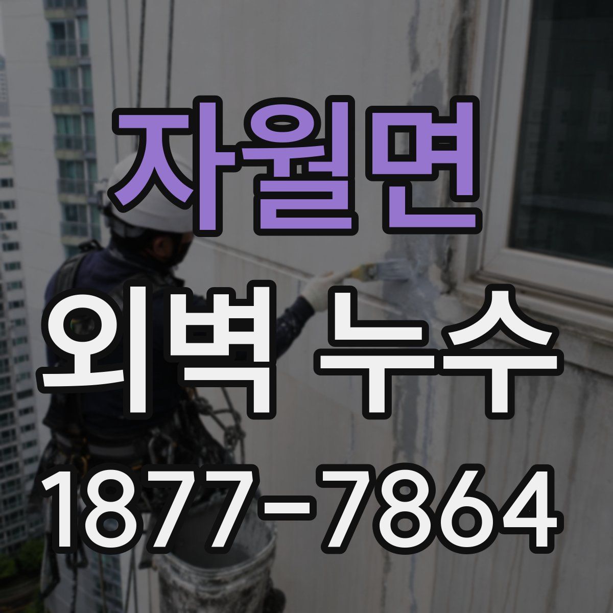 자월면 외벽 누수