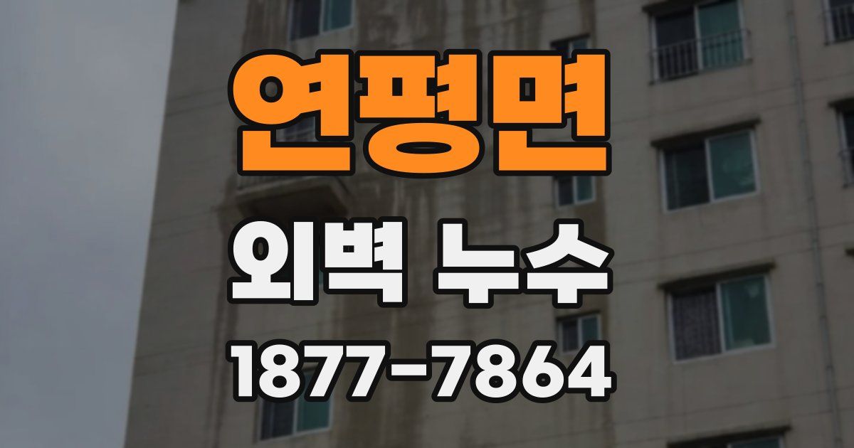 연평면 외벽 누수