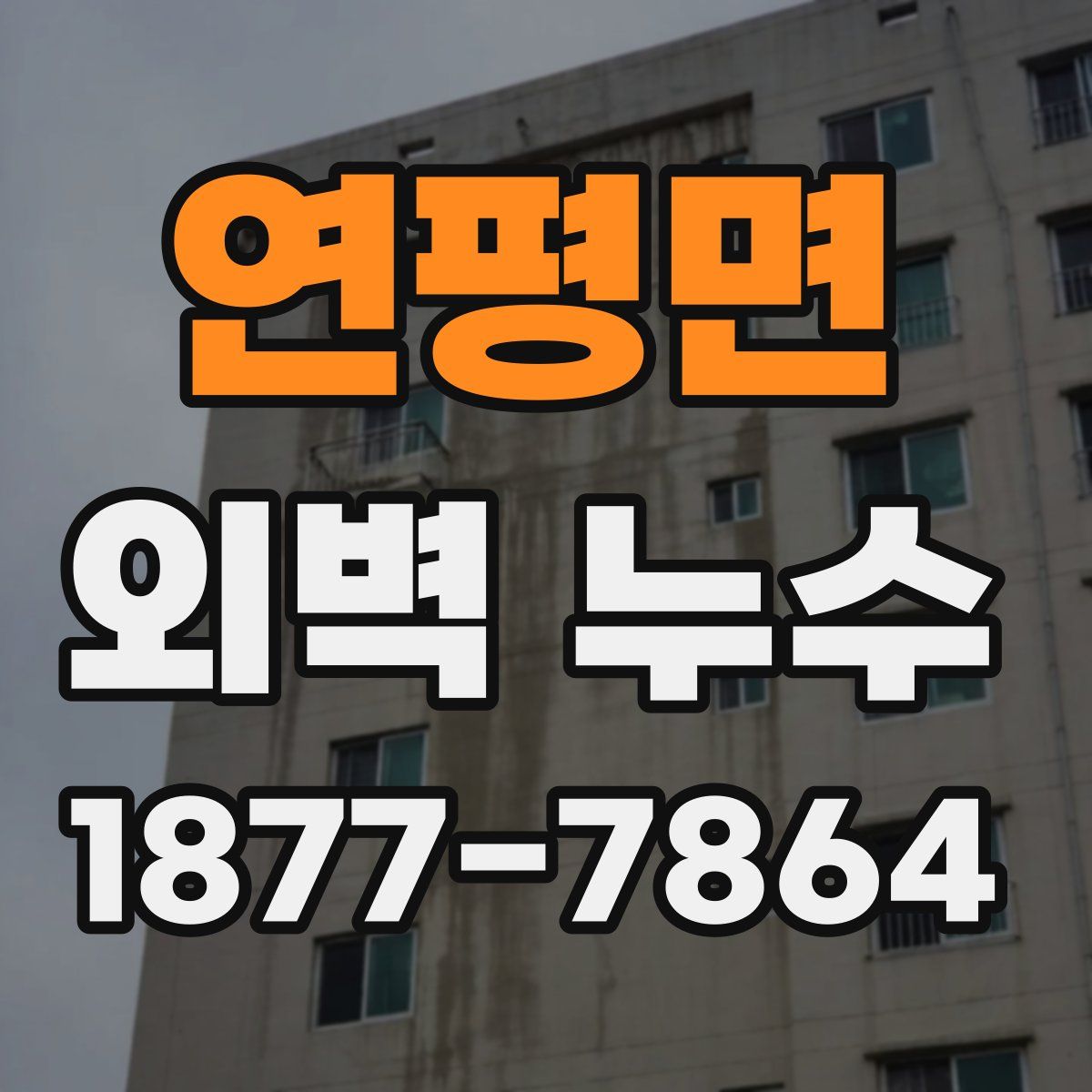 연평면 외벽 누수