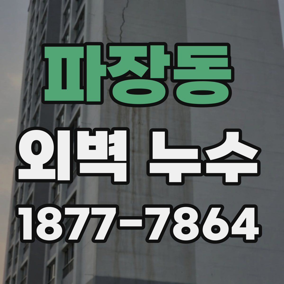 파장동 외벽 누수