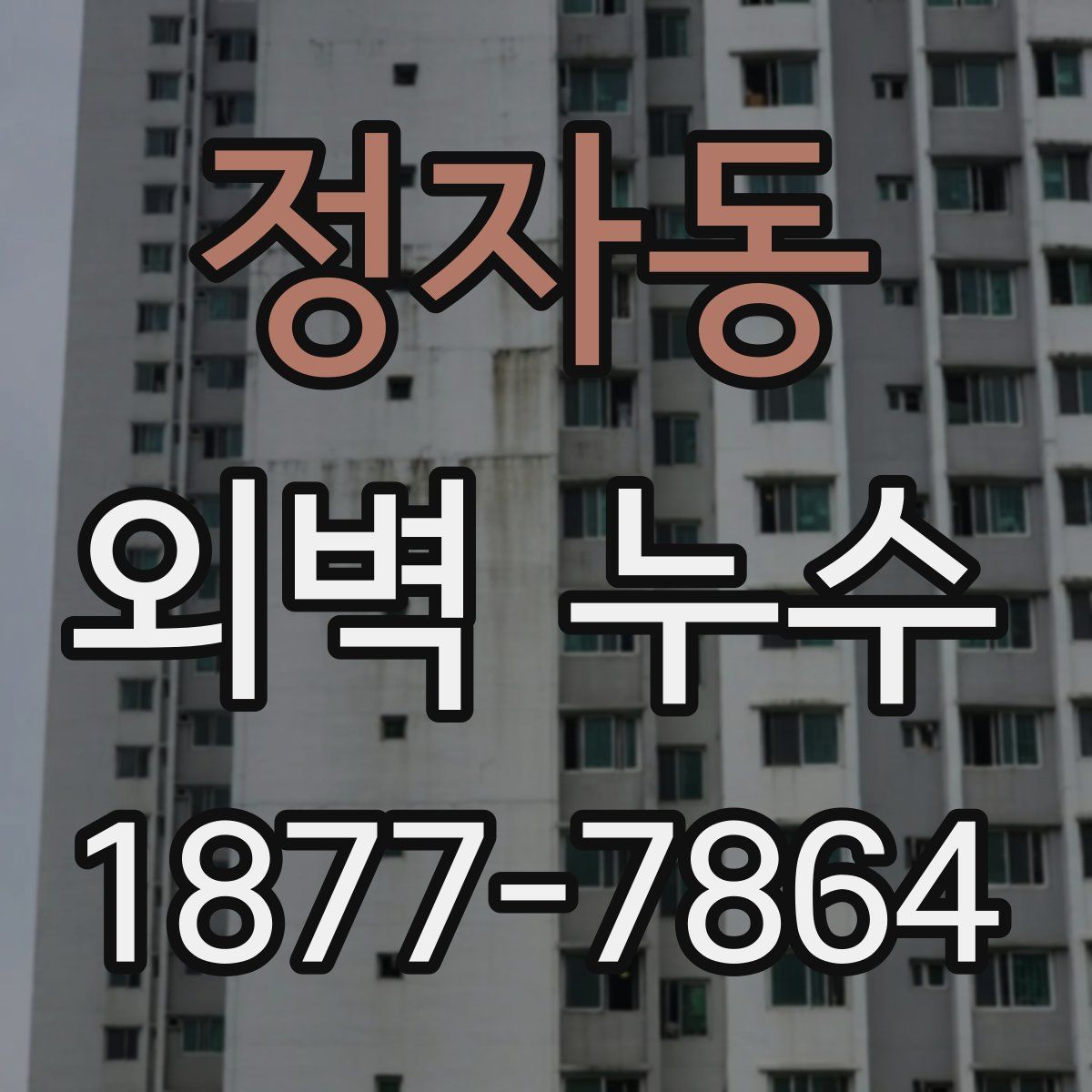 정자동 외벽 누수