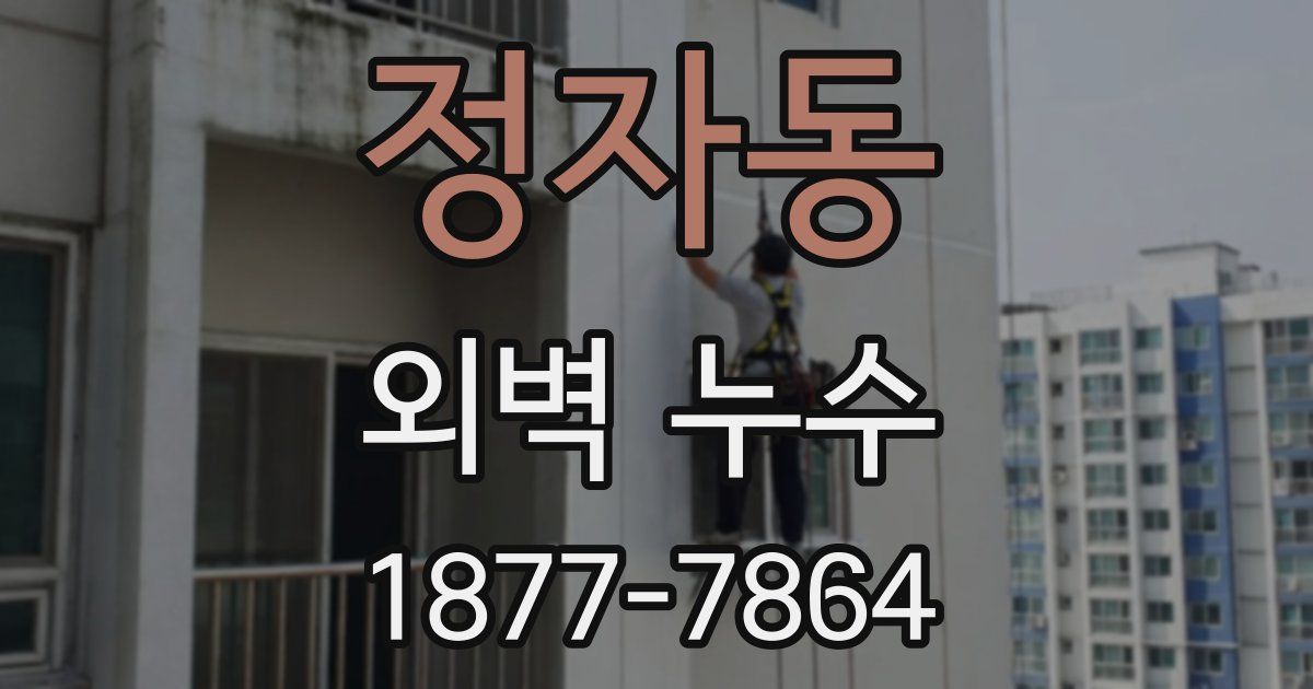 정자동 외벽 누수