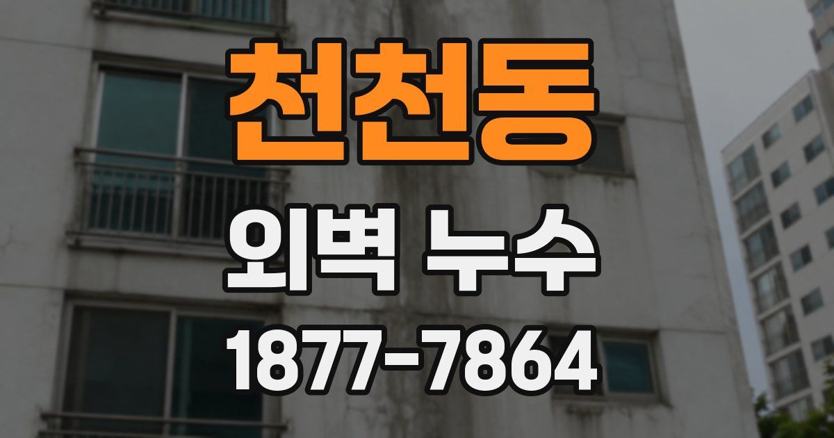 천천동 외벽 누수