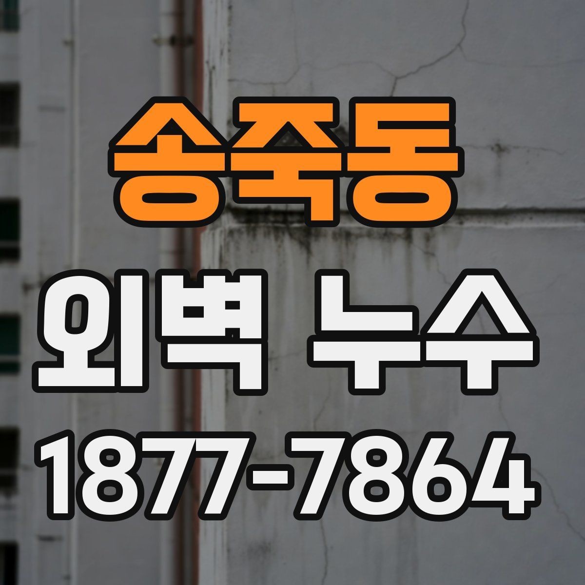 송죽동 외벽 누수 원인을 찾기 어려울 때 보는 기준