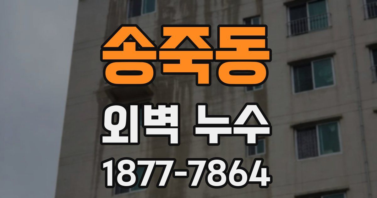 송죽동 외벽 누수