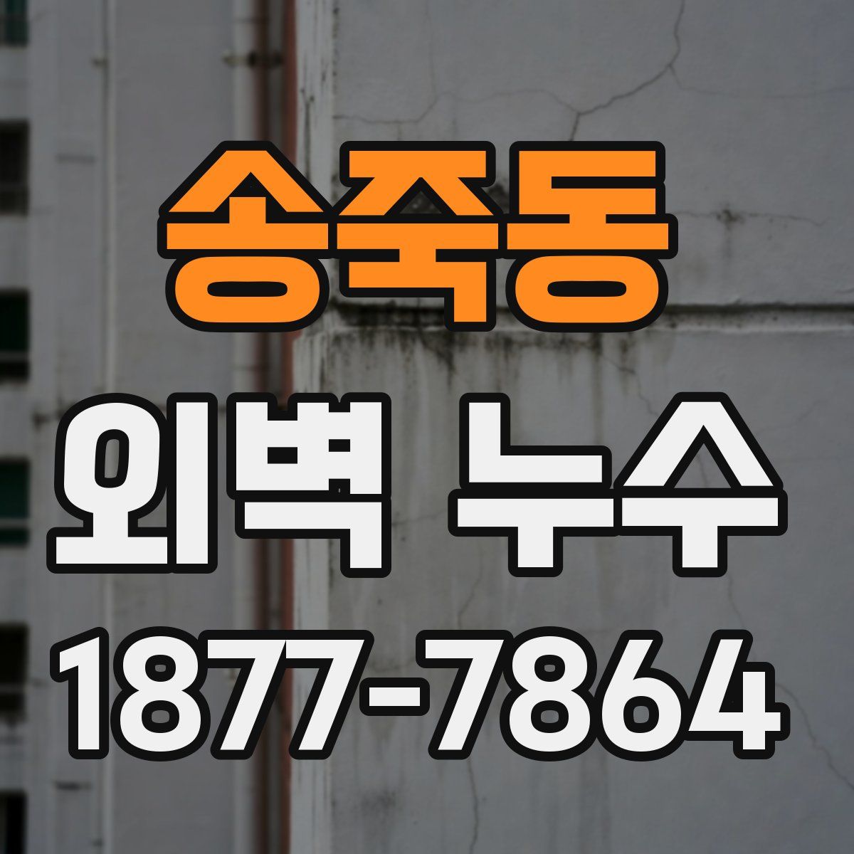 송죽동 외벽 누수
