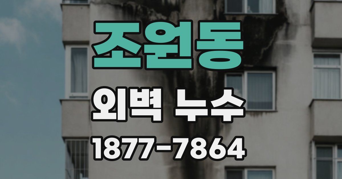 조원동 외벽 누수