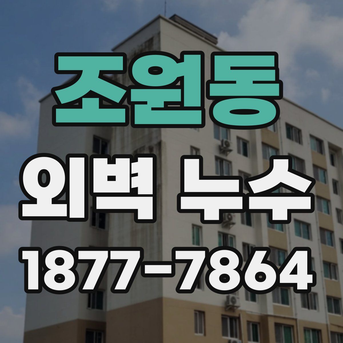 조원동 외벽 누수