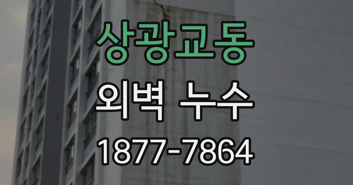 상광교동 외벽 누수