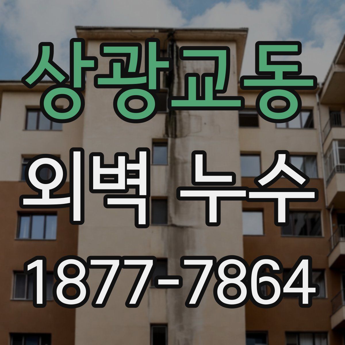 상광교동 외벽 누수