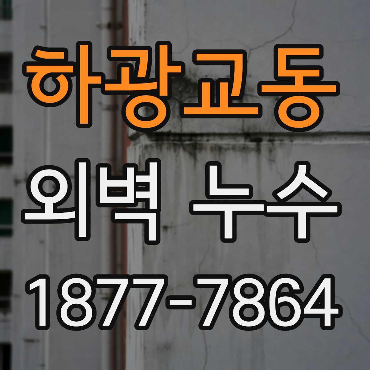 하광교동 외벽 누수