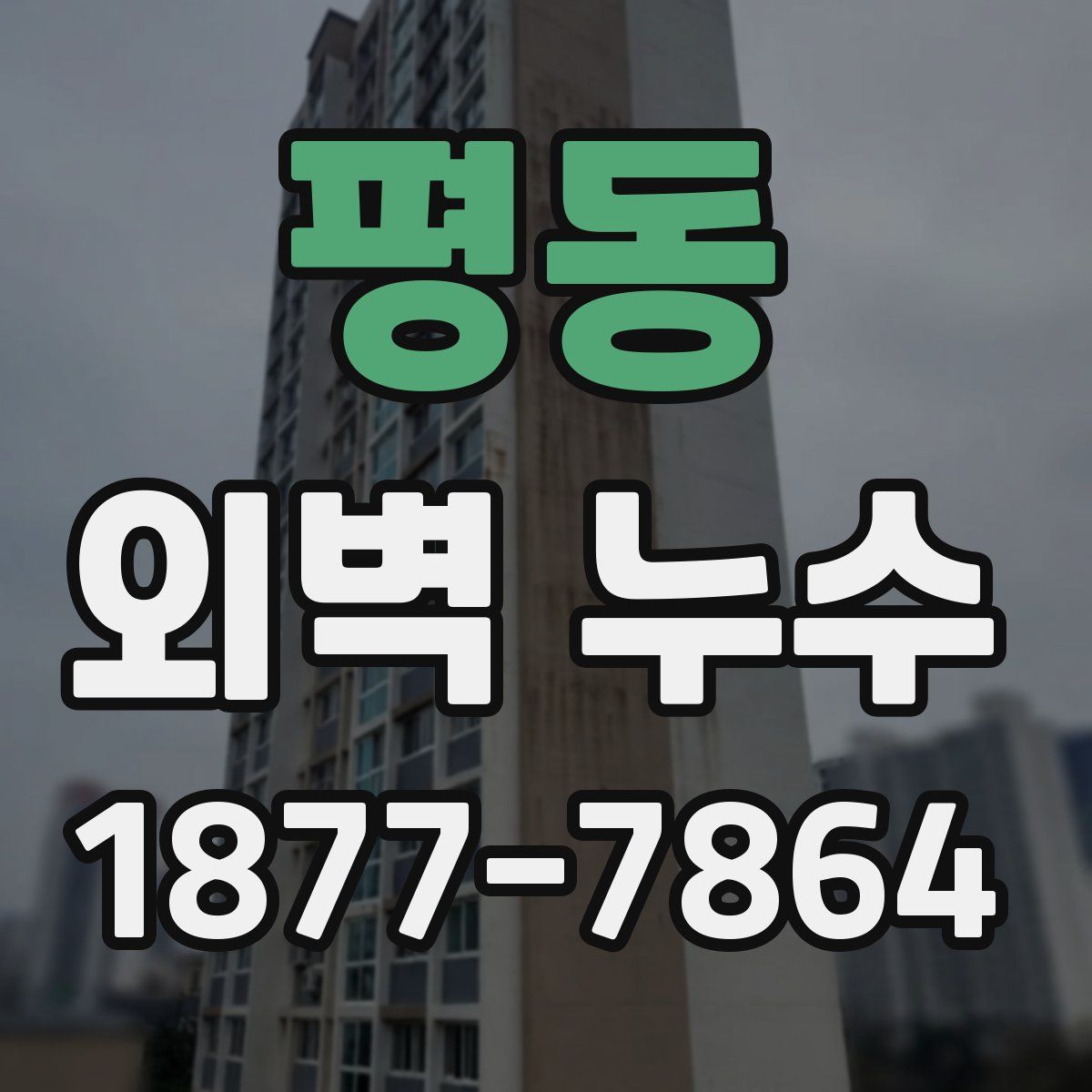평동 외벽 누수
