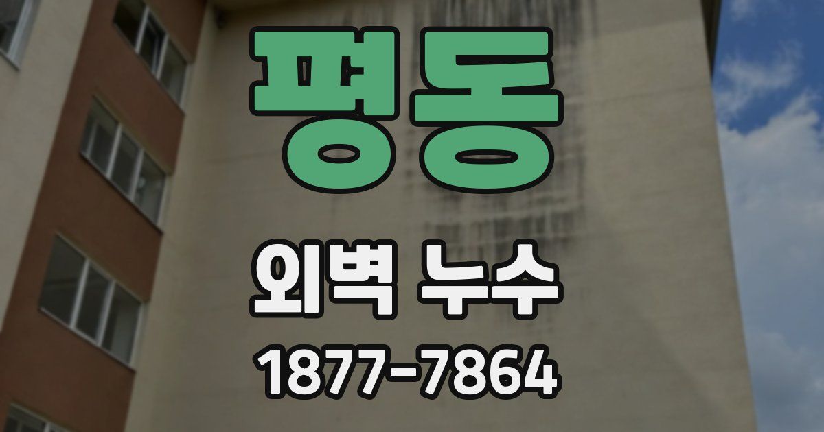 평동 외벽 누수
