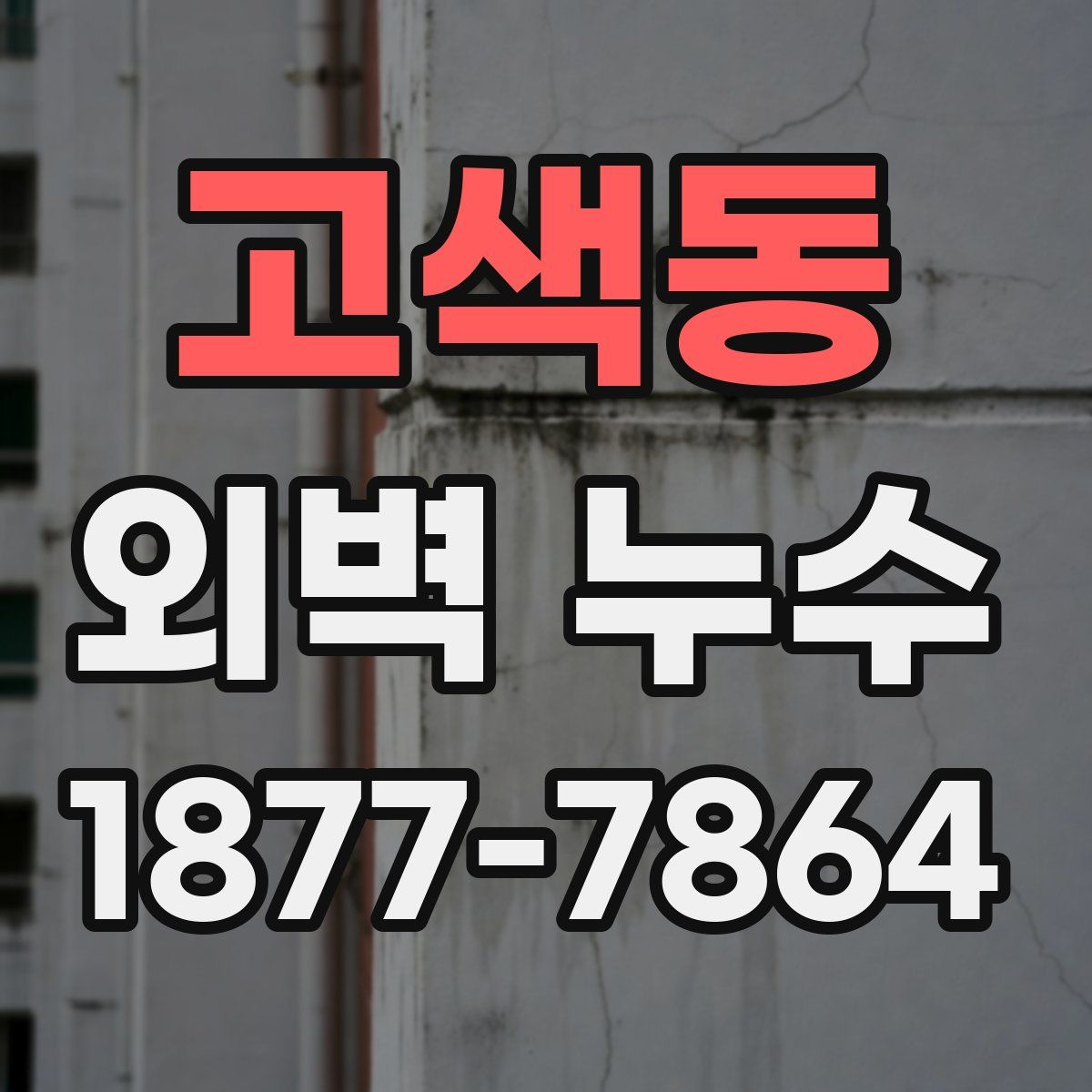 고색동 외벽 누수