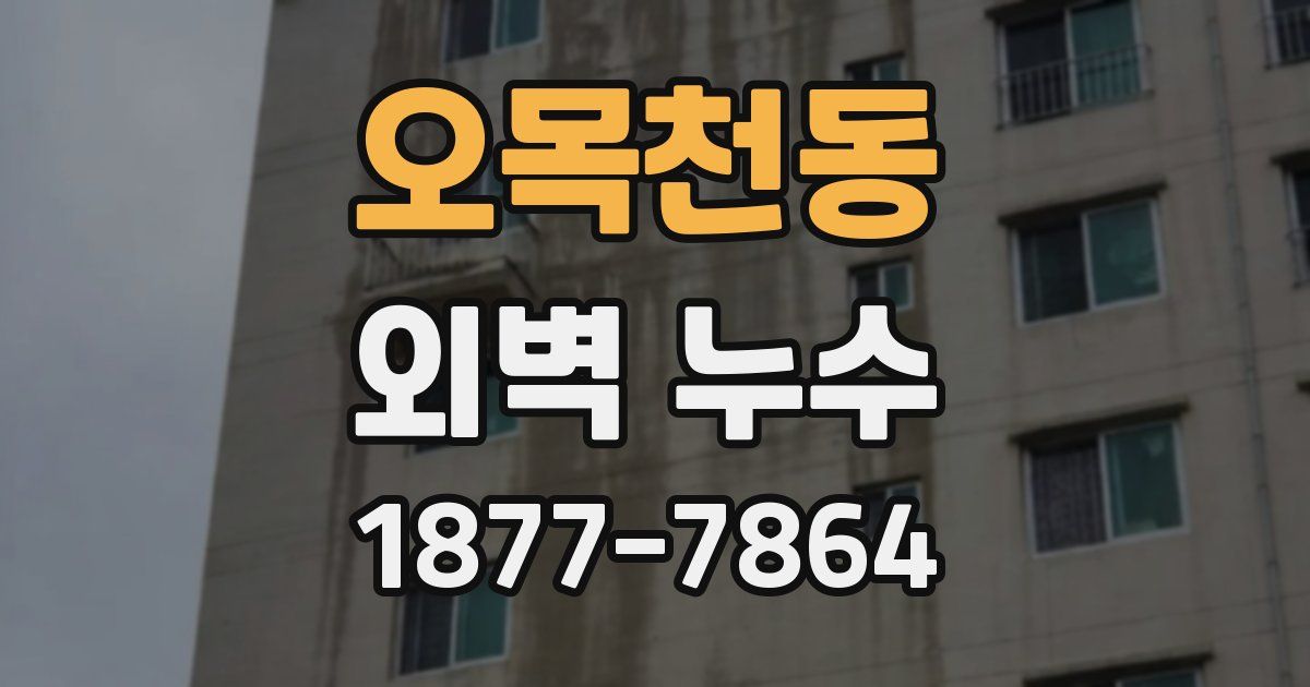 오목천동 외벽 누수