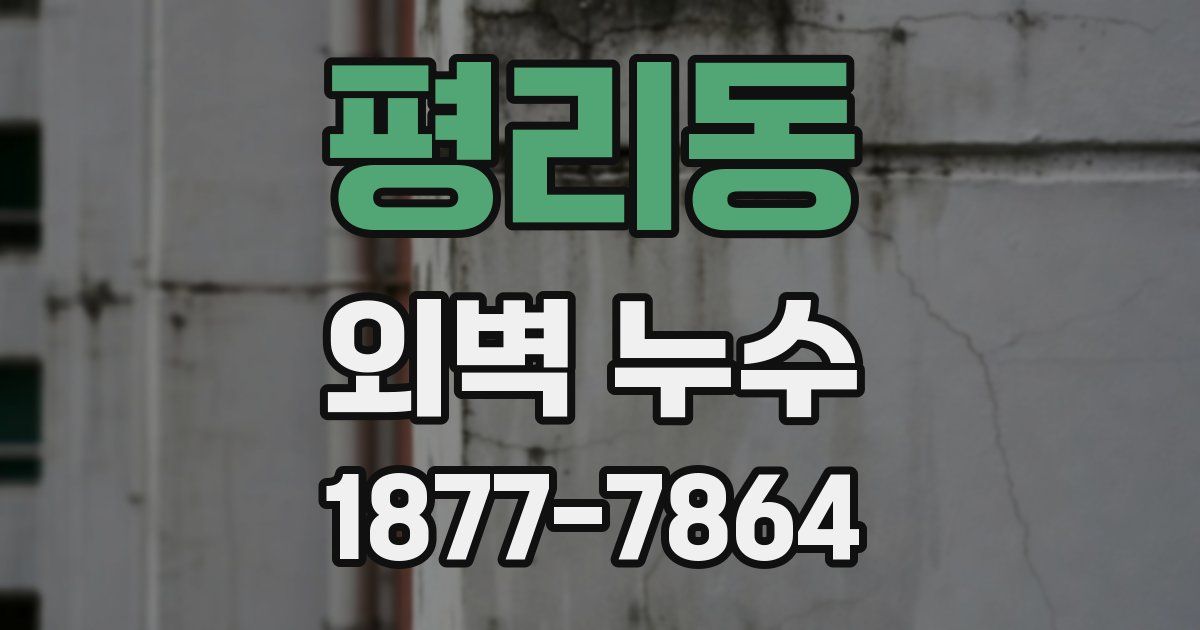 평리동 외벽 누수