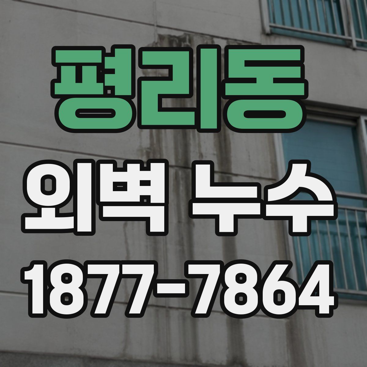 평리동 외벽 누수