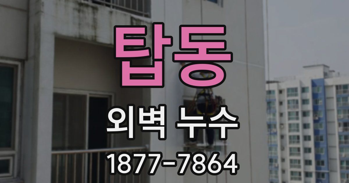 탑동 외벽 누수