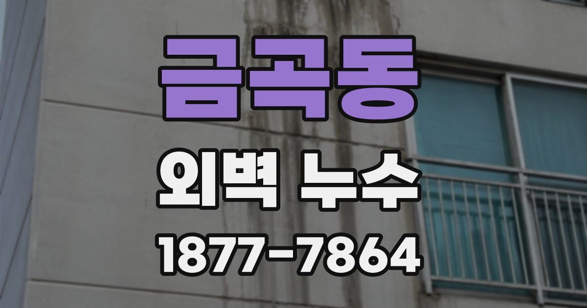 금곡동 외벽 누수