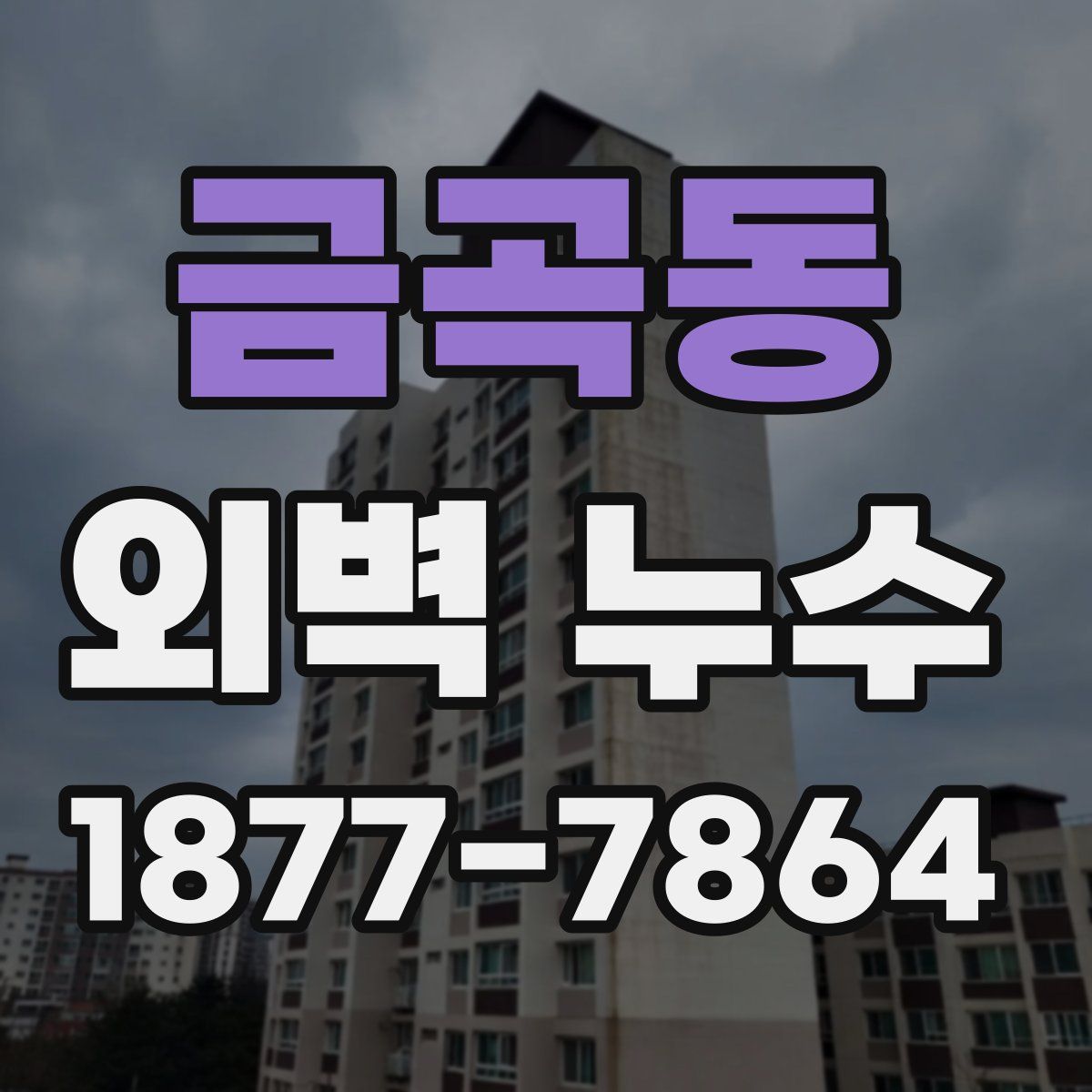 금곡동 외벽 누수