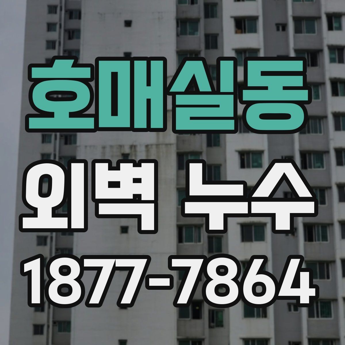 호매실동 외벽 누수 원인이 외벽이 아닐 수도 있는 경우