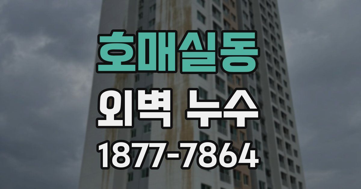 호매실동 외벽 누수