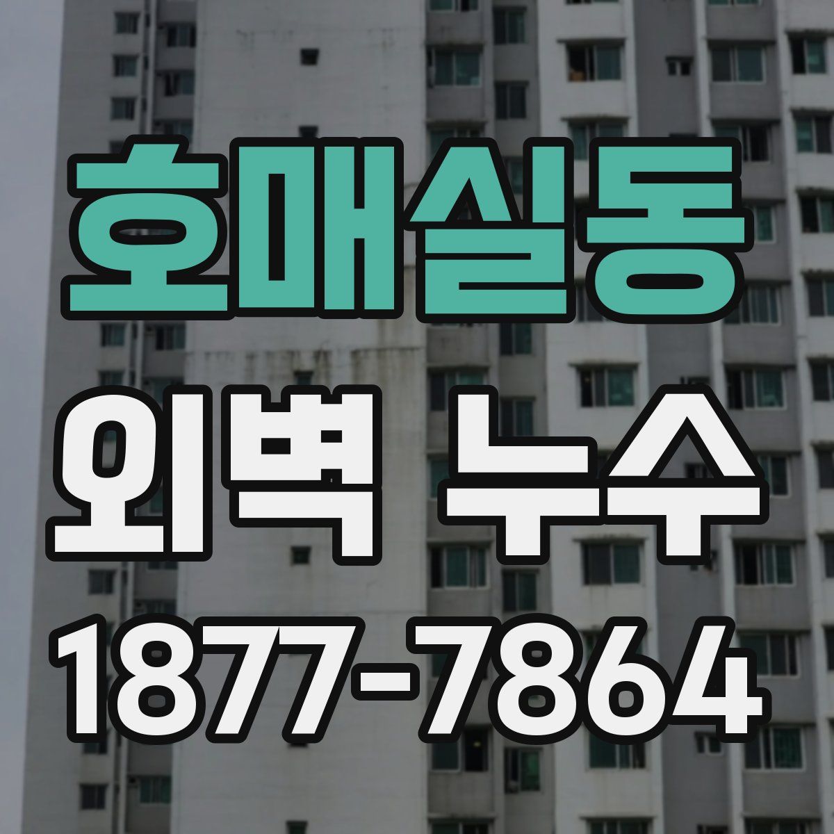 호매실동 외벽 누수