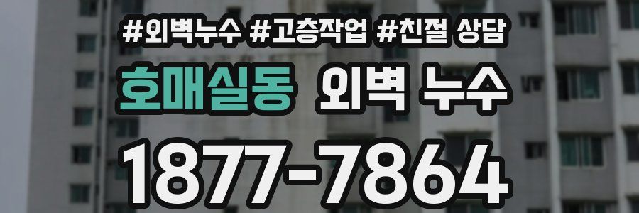 호매실동 외벽 누수