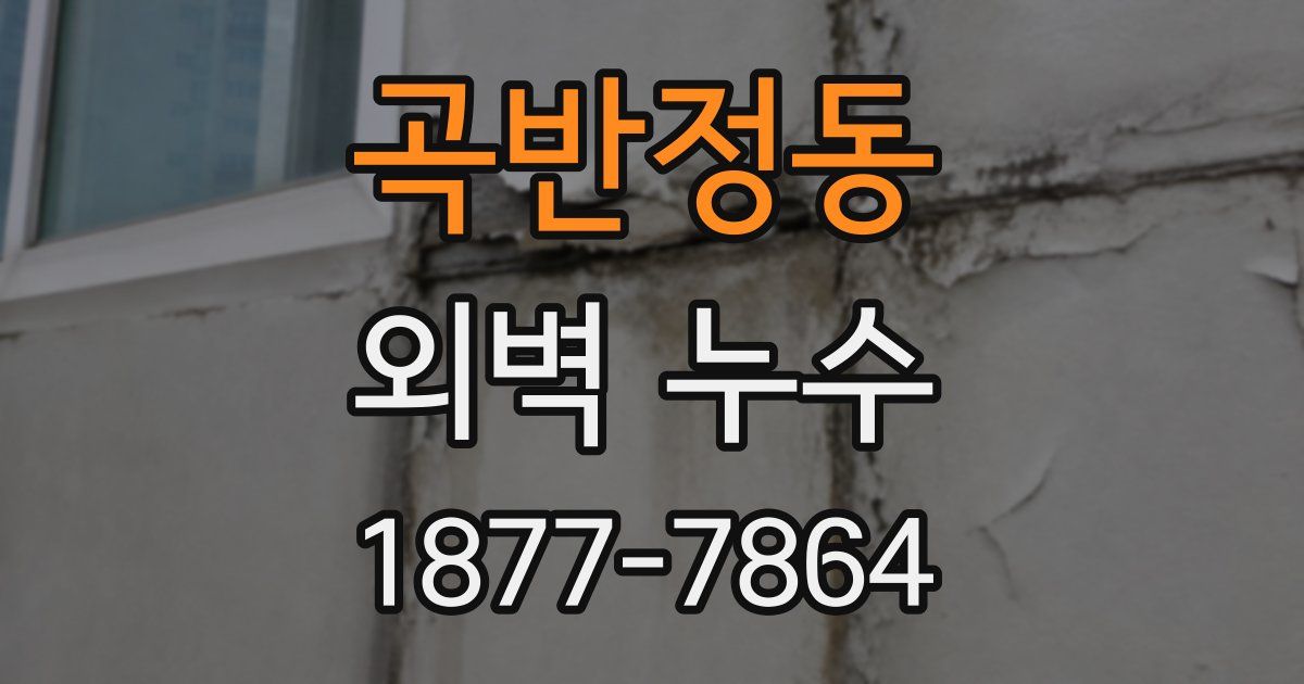 곡반정동 외벽 누수