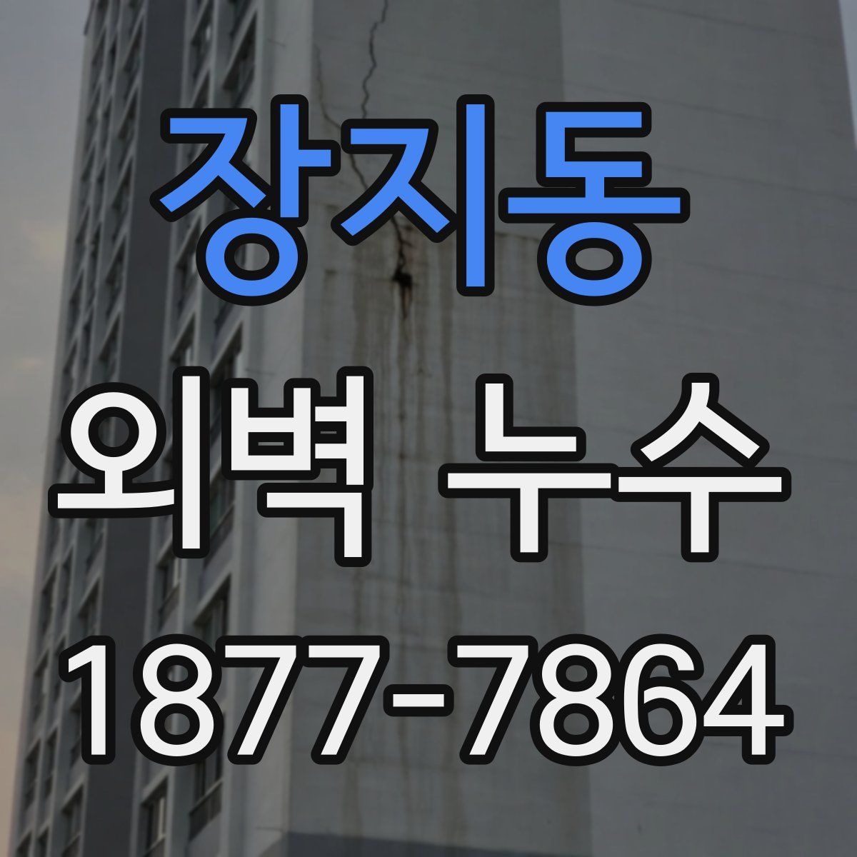 장지동 외벽 누수