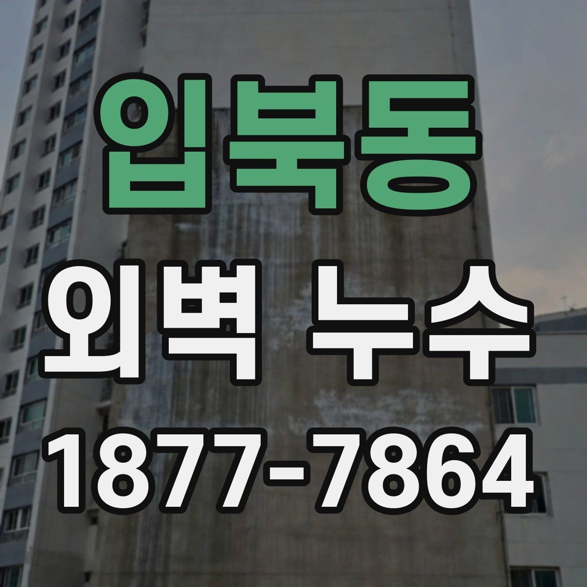 입북동 외벽 누수 사례로 보는 보수 우선순위