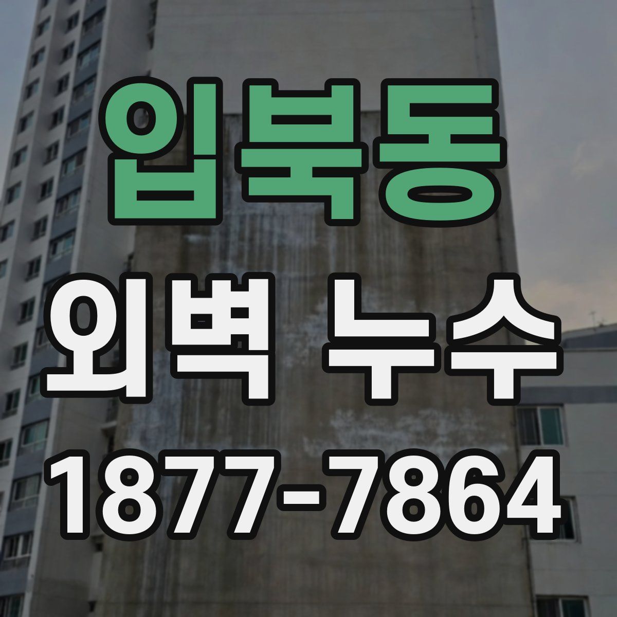 입북동 외벽 누수