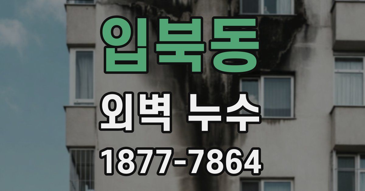 입북동 외벽 누수