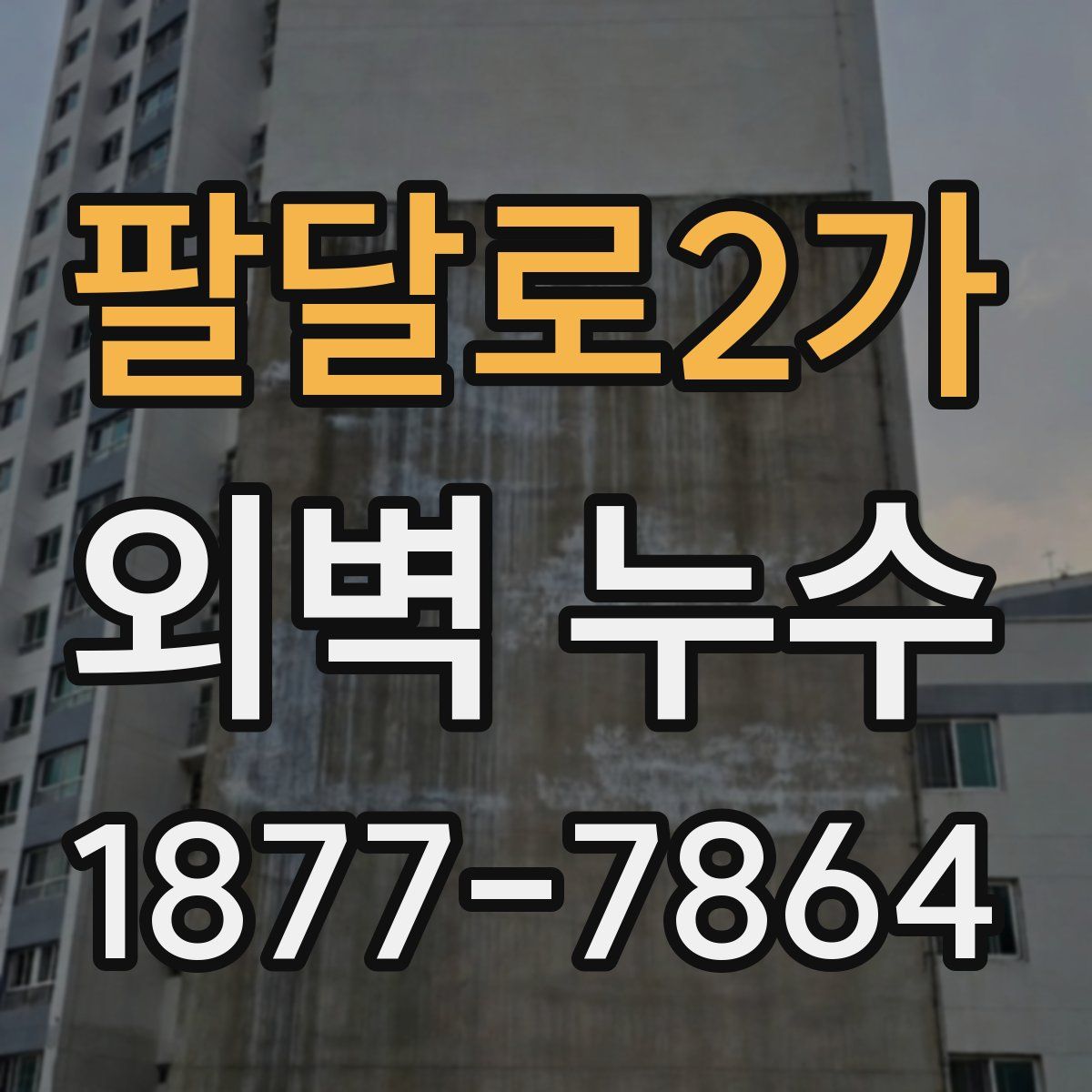 팔달로2가 외벽 누수