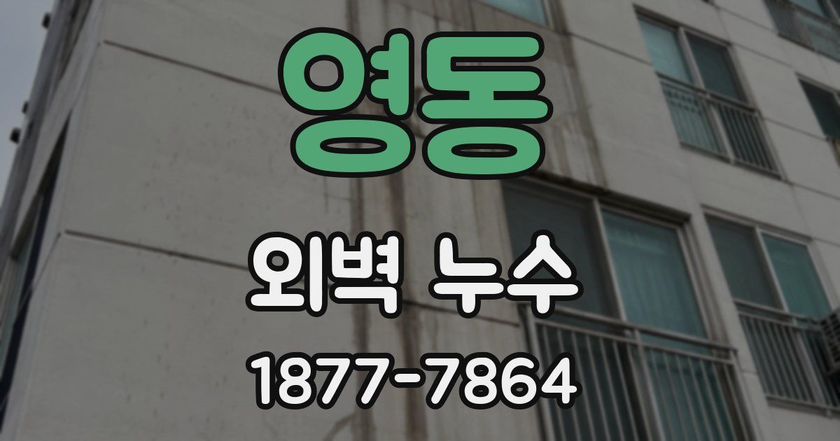 영동 외벽 누수