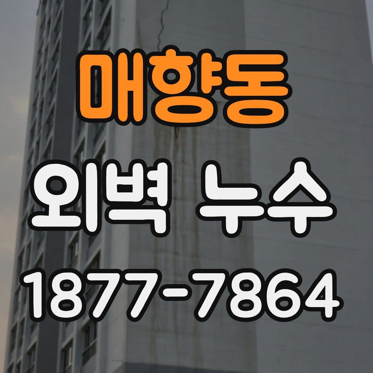 매향동 외벽 누수 보수 전 업체 상담 포인트