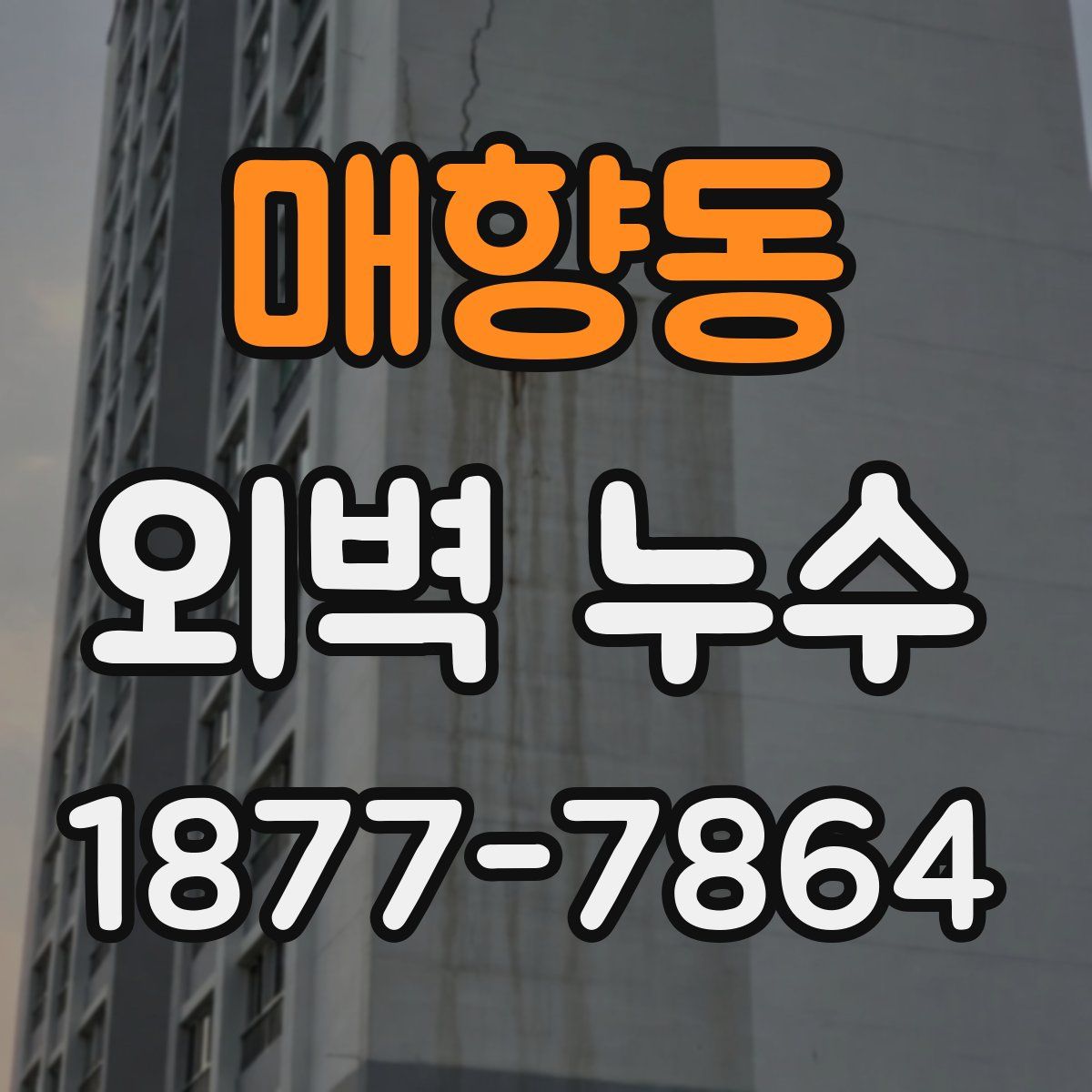 매향동 외벽 누수