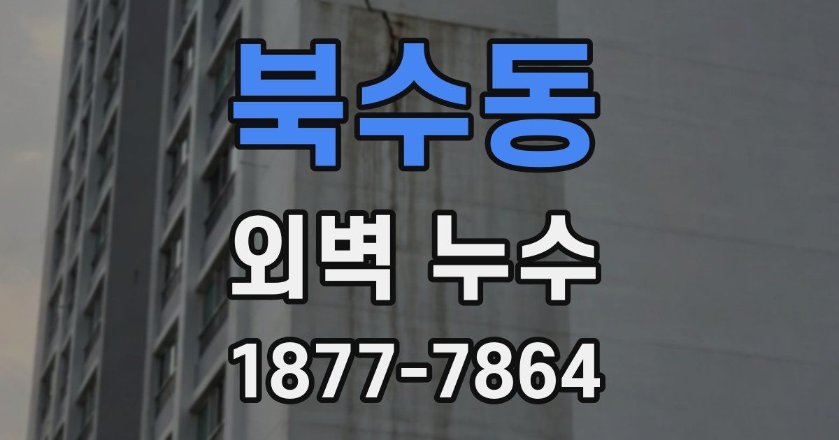 북수동 외벽 누수