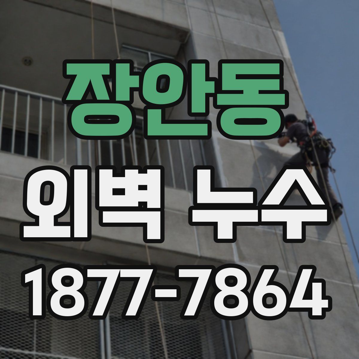 장안동 외벽 누수