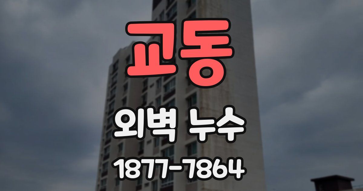 교동 외벽 누수