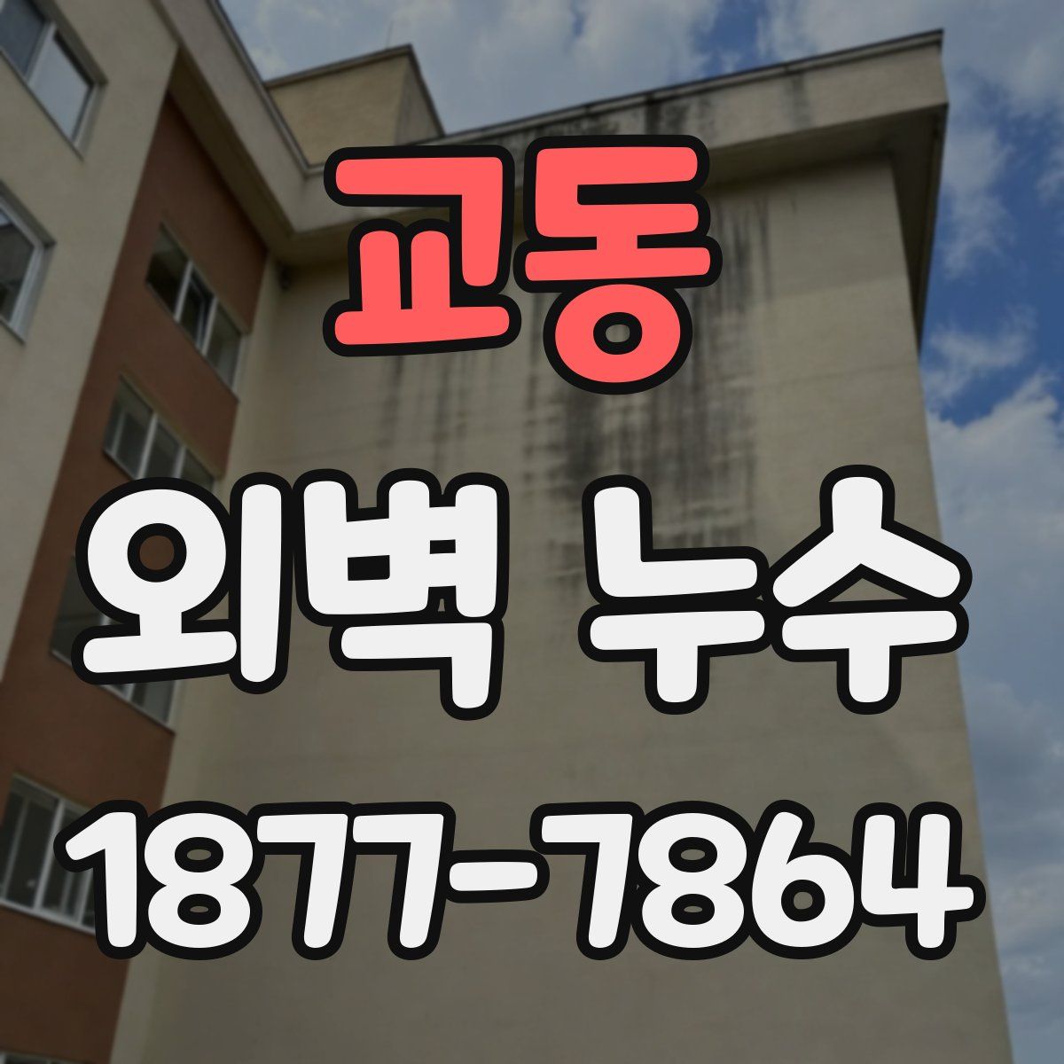교동 외벽 누수