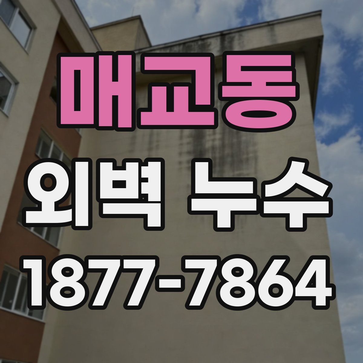매교동 외벽 누수