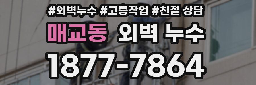 매교동 외벽 누수