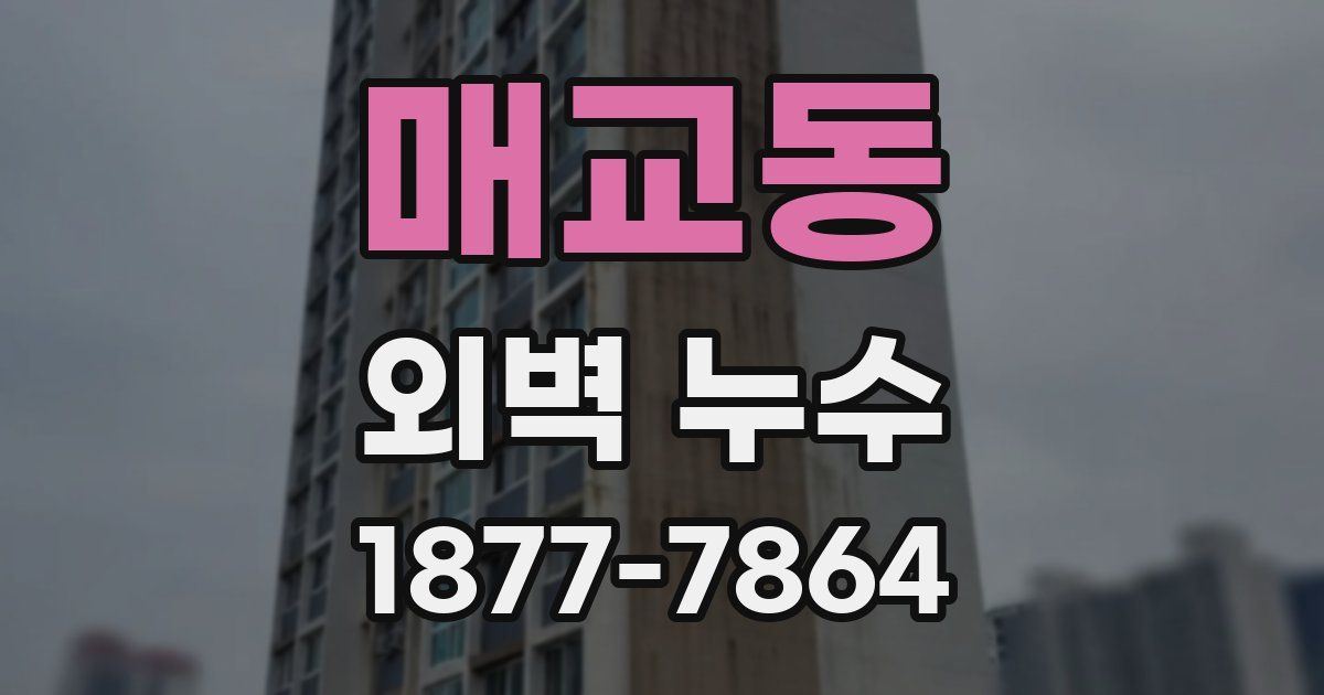 매교동 외벽 누수