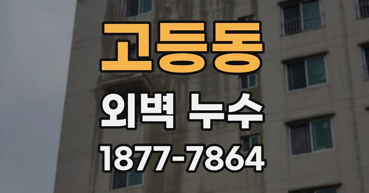 고등동 외벽 누수