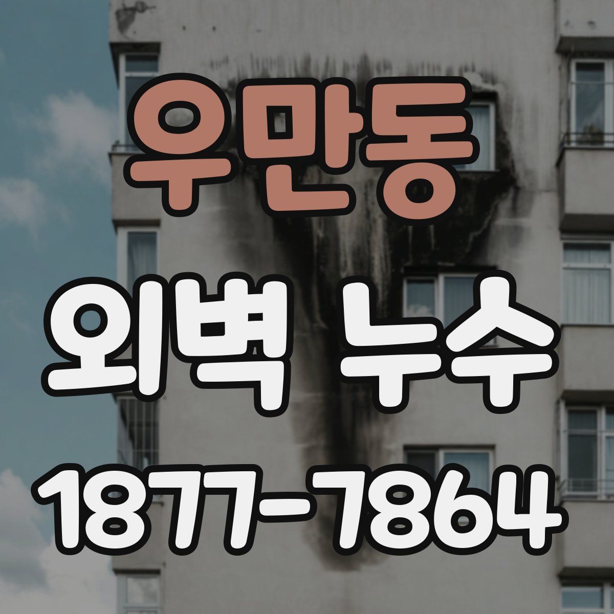 우만동 외벽 누수