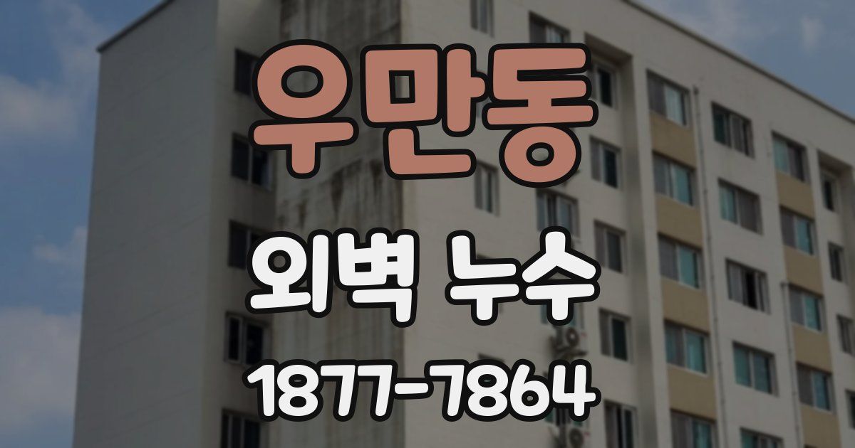 우만동 외벽 누수