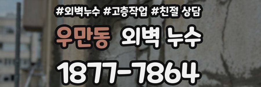 우만동 외벽 누수